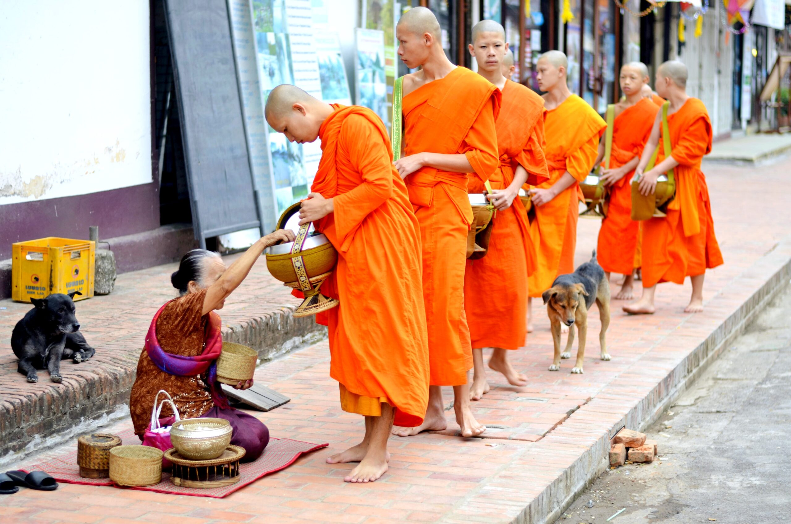 Orange robed monks begging in a line
