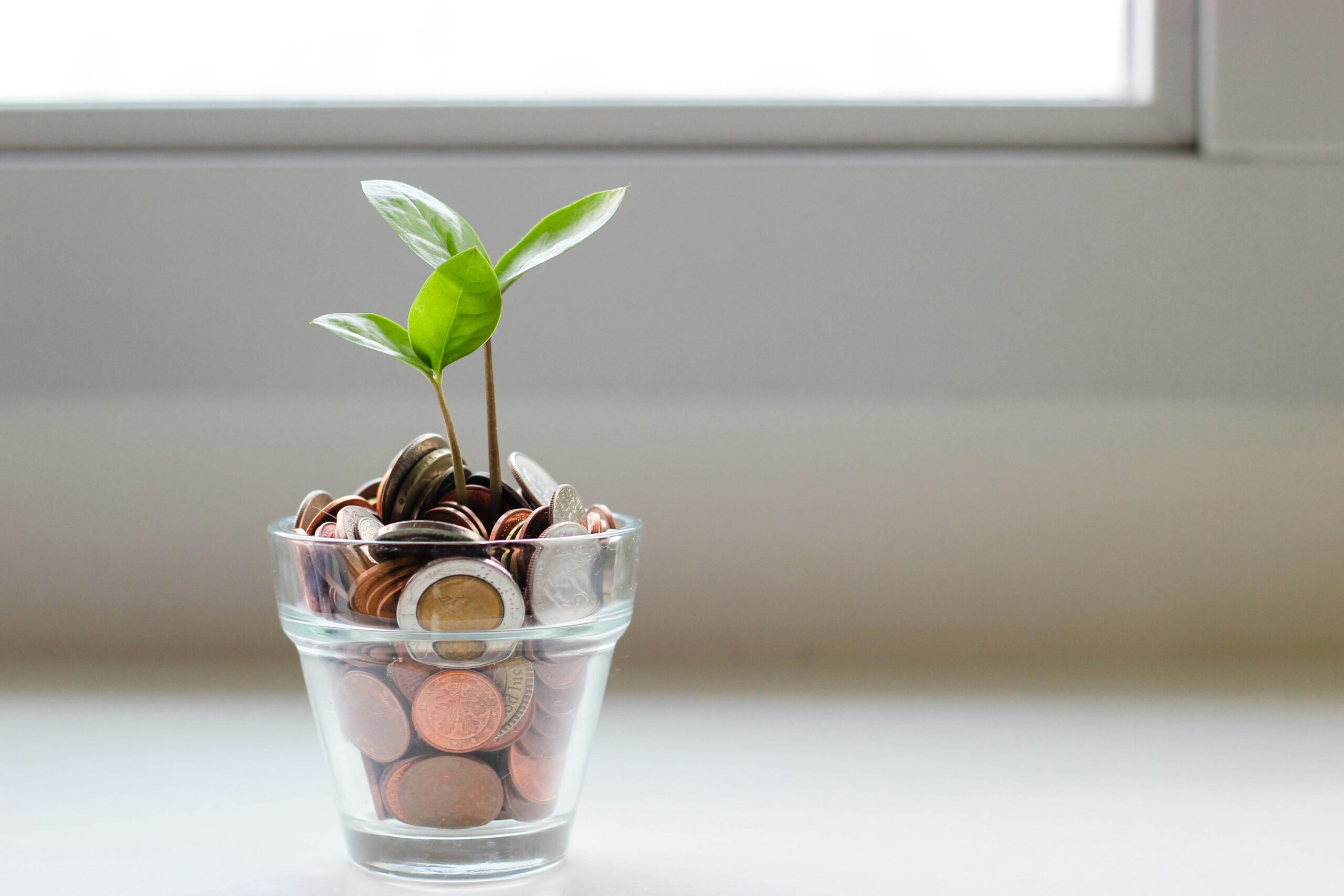 Small seedling growing in a glass of coins