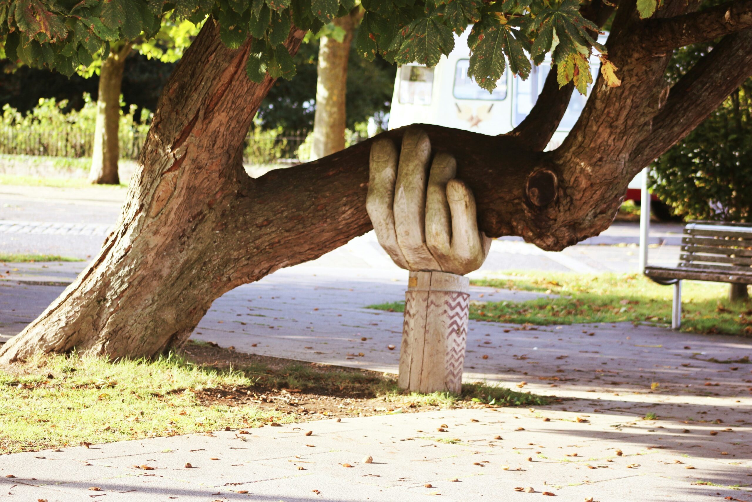 A sculpture of a hand is holding up the branch of a large tree
