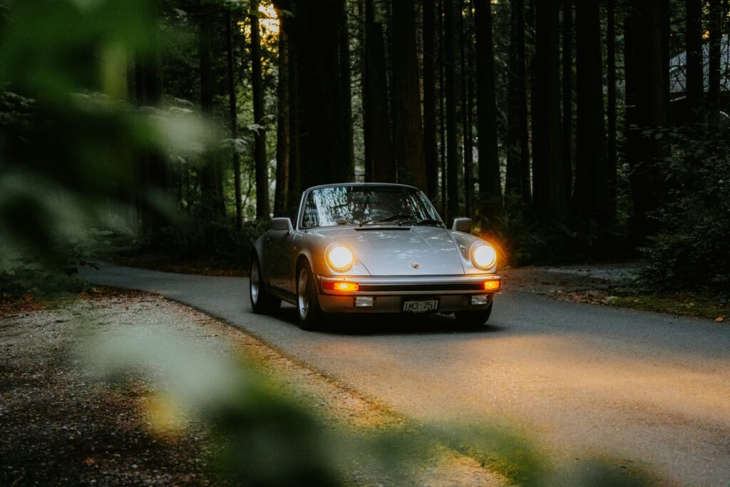 Silver Porsche in a forest