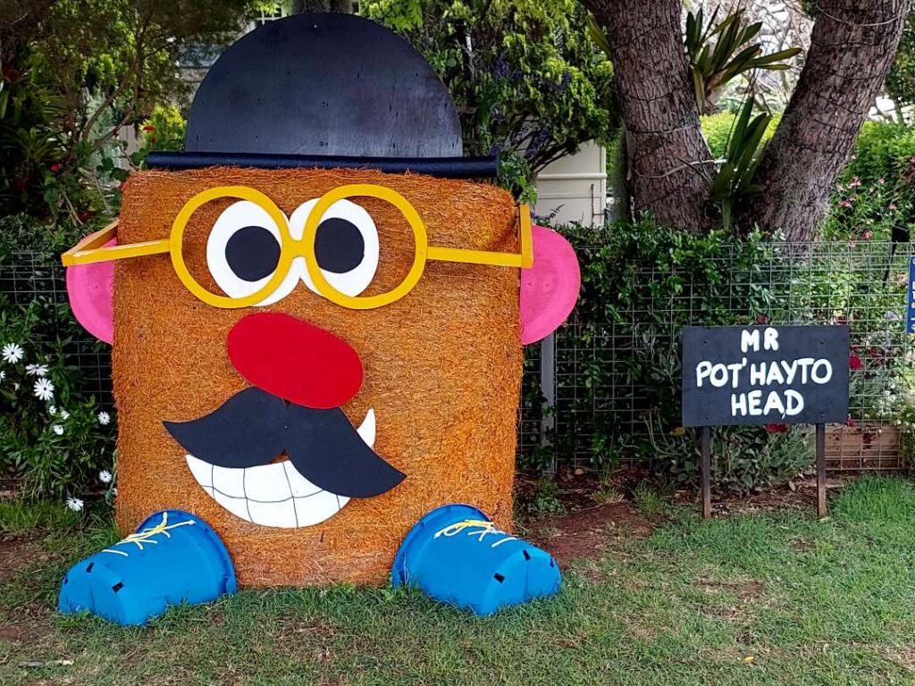 A Hay bale made into Mr Potato Head